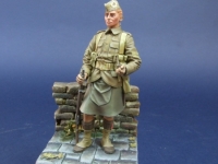 amt-2017-figuras-figures-218