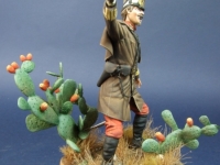 amt-2017-figuras-figures-914